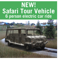 Safari Tour Vehicle